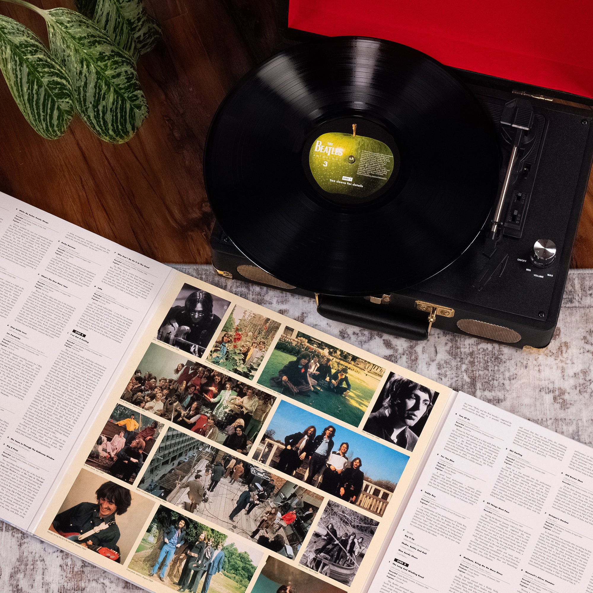 洋楽 The Beatles Anthology Collection Anthology Collection (2025 Edition): 12LP Boxset - The Beatles