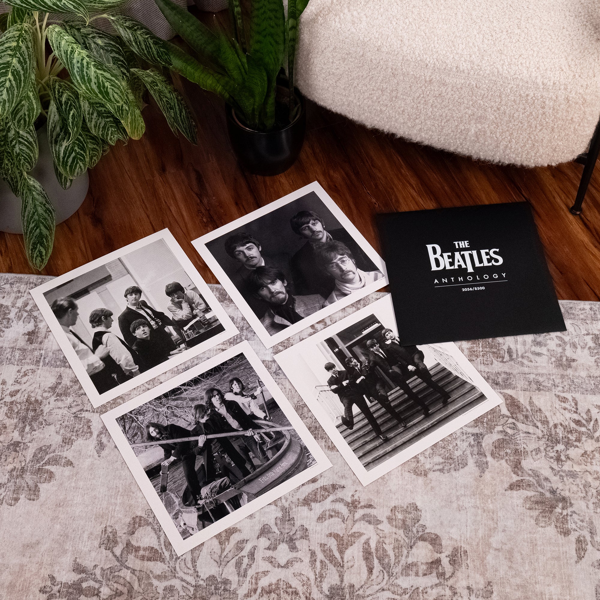 The Beatles - Anthology Collection (2025 Edition) + Limited, Numbered Photo Art Card Set: 12LP Boxset